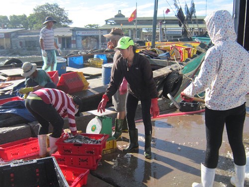 Ngư dân Hà Tĩnh mong muốn sớm khắc phục hậu quả, phát triển sản xuất (4/7/2016)